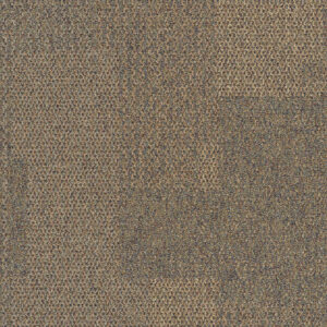 the-standard_sesame_va1 WC190190CARTSSE