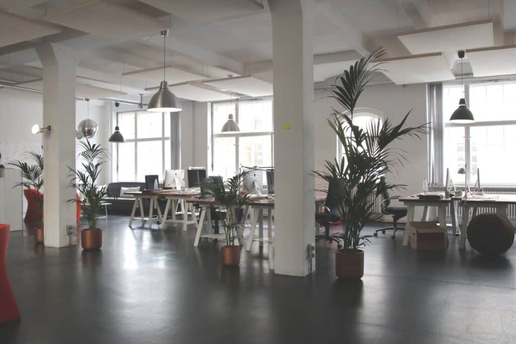 A spacious open office with modern furnishings, large windows, and plenty of natural light.